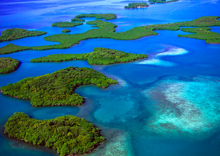 Andaman Coastal Beauty