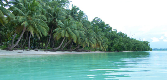 Havelock Island Beach