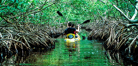 Baratang Island Nature