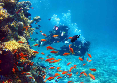 Andaman Adventure Package
