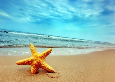 Andaman Tour Package
